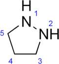 Structural formula of pyrazolidine