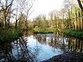 Reflections of trees in Marton West Beck - geograph.org.uk - 1596988.jpg