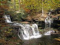 A double cascade waterfall at left and a smaller single cascade at right, both in a lush forest