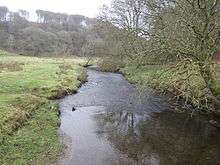 water flowing through a green valley with numerous trees.