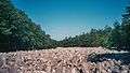 River of rocks at the Hawk Mountain, Pennsylvania 2007.jpg