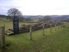 Hadrian's Wall at Planetrees