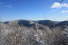 A snow-covered forested mountain with brushy snow-covered vegetation in the foreground under a blue sky with streaky clouds