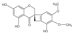 Chemical structure of scillavone A