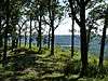 Wyalusing State Park Mounds Archeological District