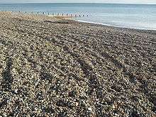 A gently sloping beach of large, coarse stones, lit by weak sunlight.  There are some mounds caused by tyre tracks, and an accumulation of brown seaweed.  A timber groyne runs into the sea in the background.  A ship is just visible on the horizon.