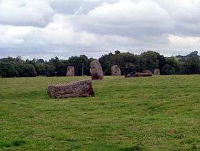 standing grey stones in a grassy field with trees in the distance