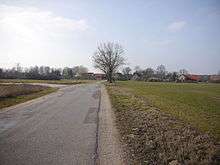 A road through open fields passes a line of trees and enters a village