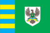 Flag of Tiachiv Raion