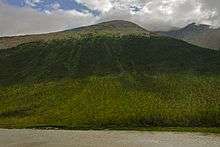 A mountain rising from a river with brownish water at its base. Its lower slopes are green with scattered evergreen trees, giving way to much denser forest cover midway up. At the top it yields abruptly to bare rock with some green ground cover. Above it is a partly cloudy sky.