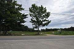 Spiller Farm Paleoindian Site