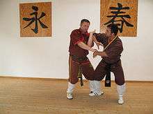 Grand Master Andreas Hoffmann and Master Haydar Yilmaz demonstrating Chi Sao in action