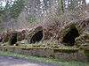 Coke Ovens