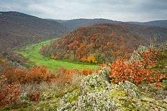 A meander of a river and forests