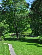 Pond and benches in a park